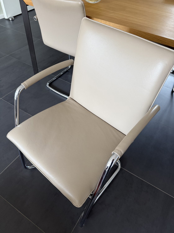 Image 1 of Leolux eetkamerstoelen (6x), model Freyr, kleur Taupe; Wapiti