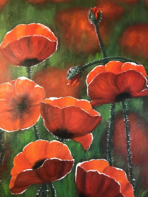 Image 1 of Pintura al óleo - Irina Gauss - Amapolas en verano