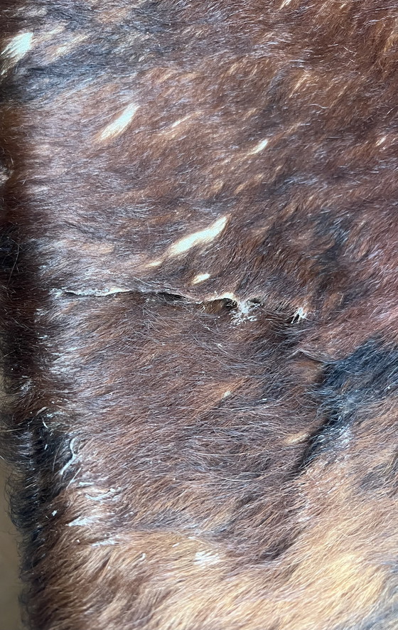 Image 1 of Réplica LC4 Le Corbusier Chaisse Longue