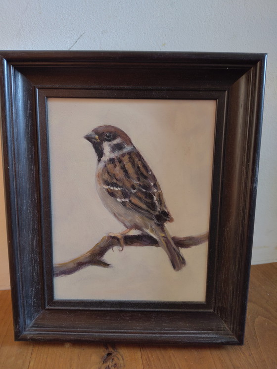 Image 1 of Passero" di Hans Mijnsbergen, olio su tavola