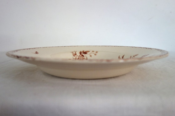 Image 1 of 11 assiettes creuses Terre De Fer Gien modèle Mai vers 1900