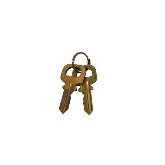 LOUIS VUITTON Alma Monogram Handbag M51130 – Borse a mano, Leather, Metal (photo 9 of 15)
