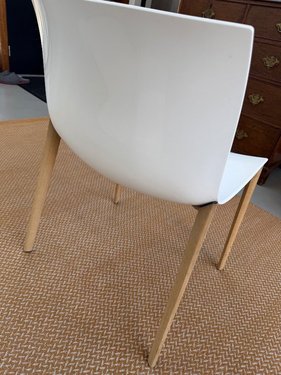 Image 1 of 6x Arper Catifa 53 chair white with oak legs