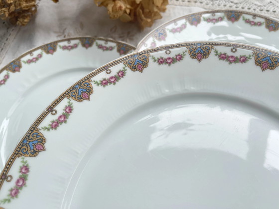 7 Platos Llanos de Porcelana de Limoges con Motivo Floral – Loza, Porcelain (photo 4 of 7)