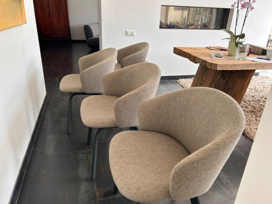Image 1 of Set di 4 sedie di design Arco Close – comfort scandinavo