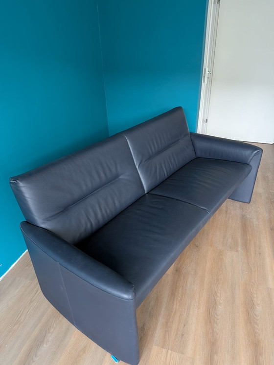 Divano Leolux Bora Bora 2,5 posti – Design senza tempo in viola scuro – Divani 2 posti, Leather (photo 3 of 9)