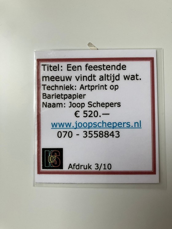 Image 1 of Kunstfotograf Joop Schepers – Eine feiernde Möwe findet immer etwas