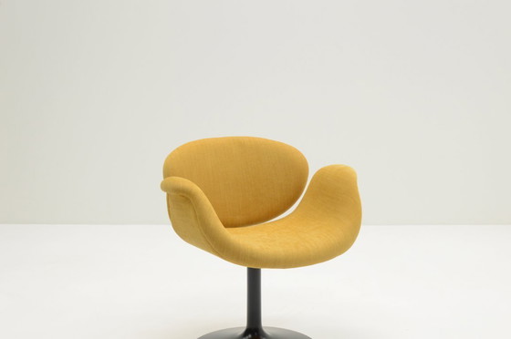 Image 1 of Set di 4 poltroncine Tulip di Pierre Paulin per Artifort, Paesi Bassi, 1960.