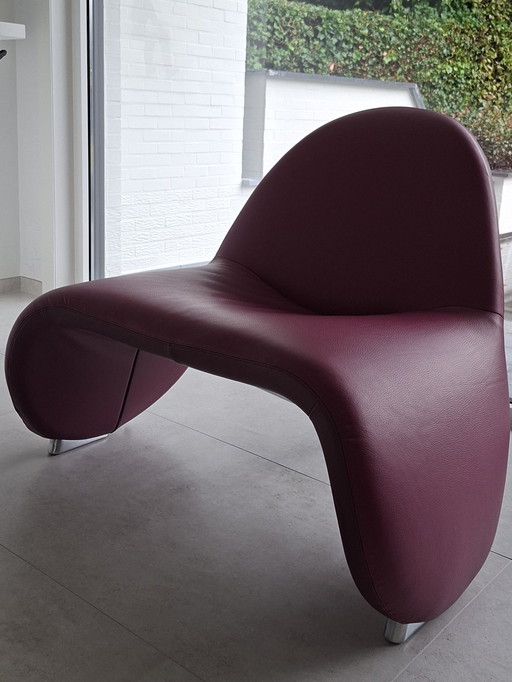 Leolux Sella - Farbe Dahlie/Orchidee – kuipstoelen, Leather (photo 2 of 5)