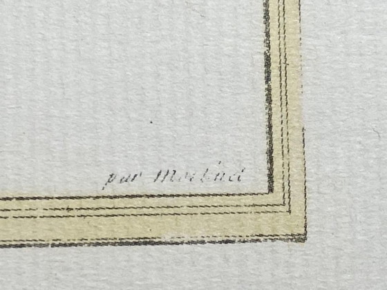 Image 1 of Engraving, Drawing, Sketch: Pair of Chinese Golden Pheasants by François-Nicolas Martinet