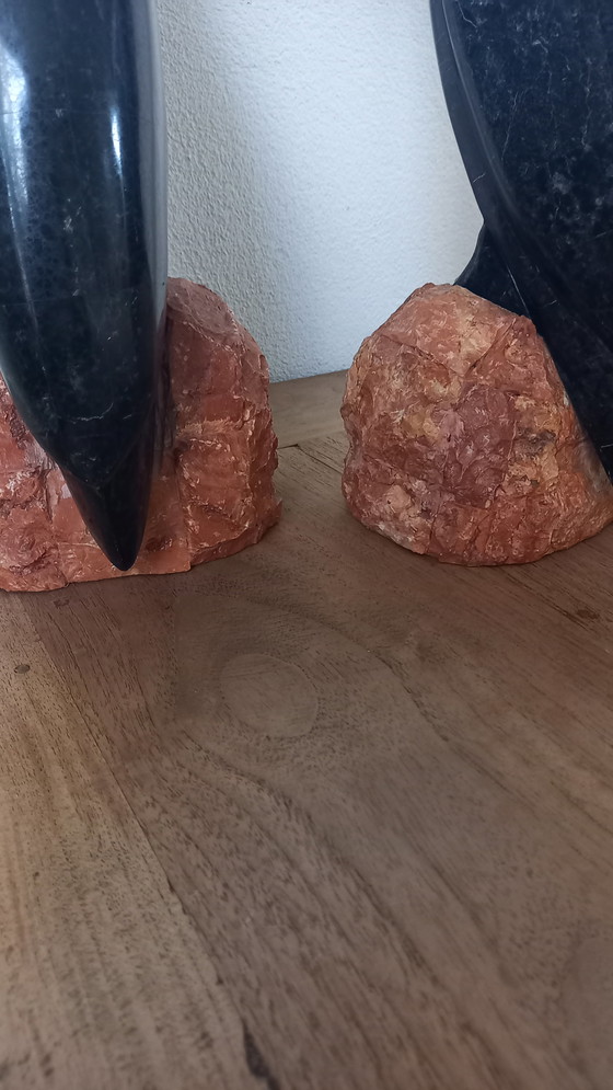 Image 1 of 2 toucans marbrés