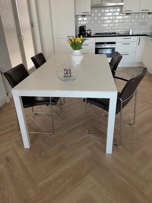 Table Leolux avec 4 chaises Leolux