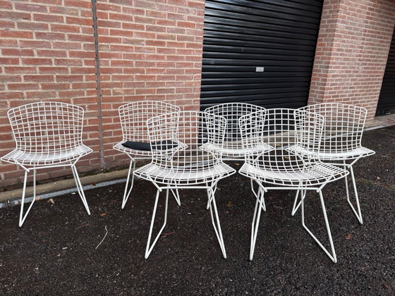 Image 1 of 6 sedie laterali originali Harry Bertoia per Knoll