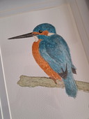 Original watercolor kingfisher | Includes frame