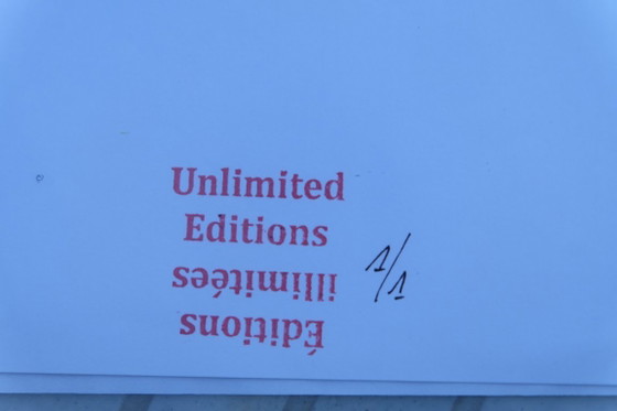Paul McCarthy - Litografia digitale firmata a mano, 30 x 40 cm 1/1 – Litografie e stampe, Carta (photo 5 of 5)