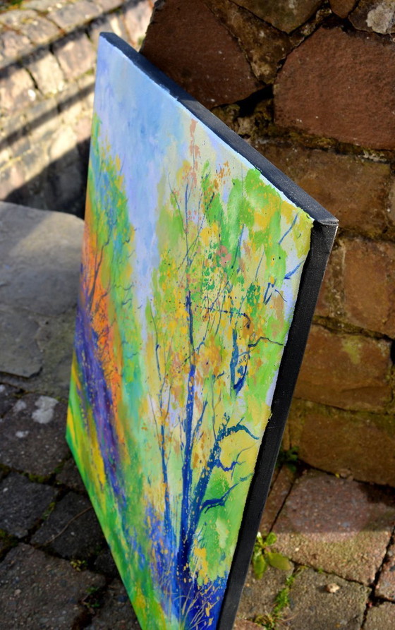 Image 1 of Licht im Holz