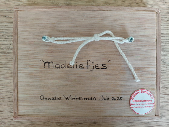 Image 1 of Daisies Gallery Suncorner