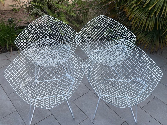 Image 1 of Bertoia Diamond Knoll vintage white armchairs - iconic design