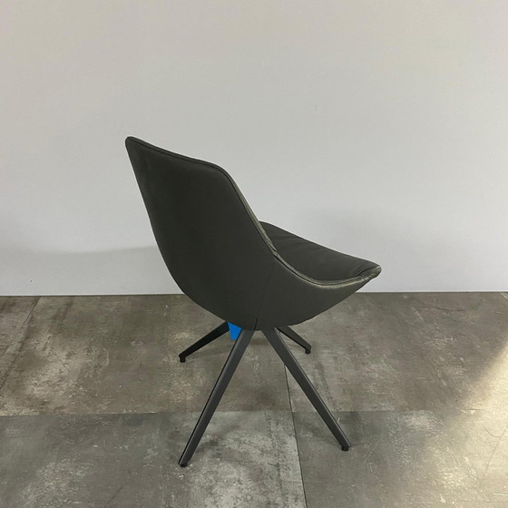 Image 1 of Maple 2.0 set of 5