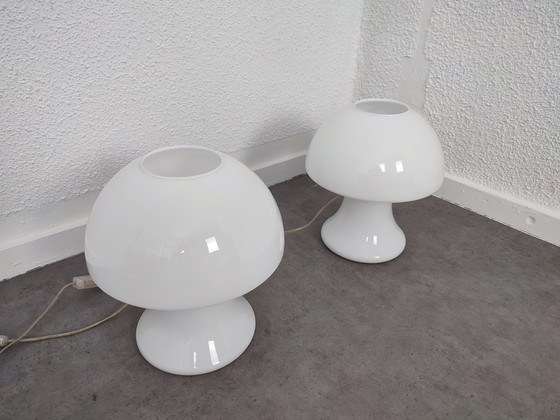 Image 1 of Set 1970S - s.e.c. France - mushrooms 