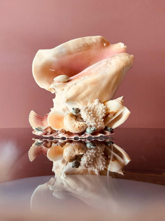 Image 1 of Vintage '70s shell lamp