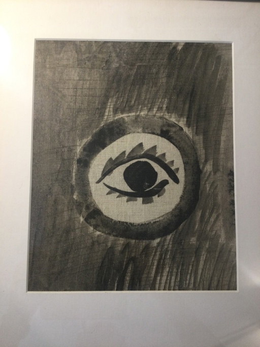 Picasso-Buchumschlag