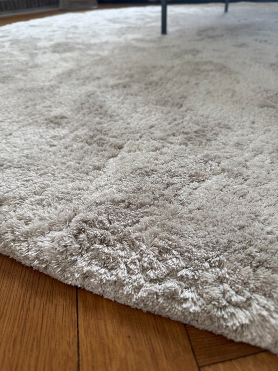 Image 1 of JOV round carpet