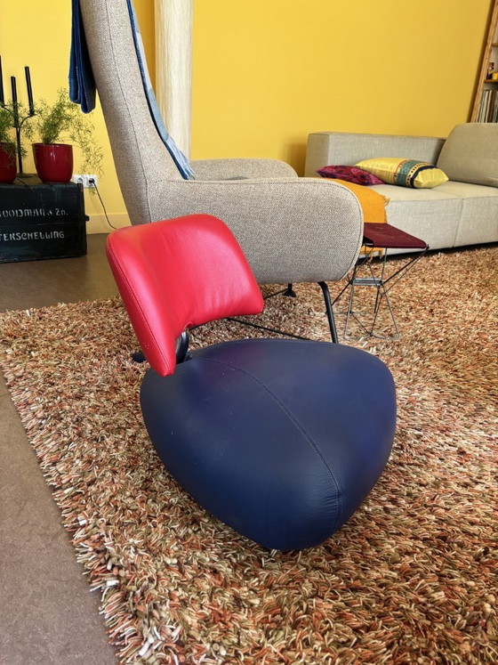 Image 1 of Cucciolo Pallone Leolux