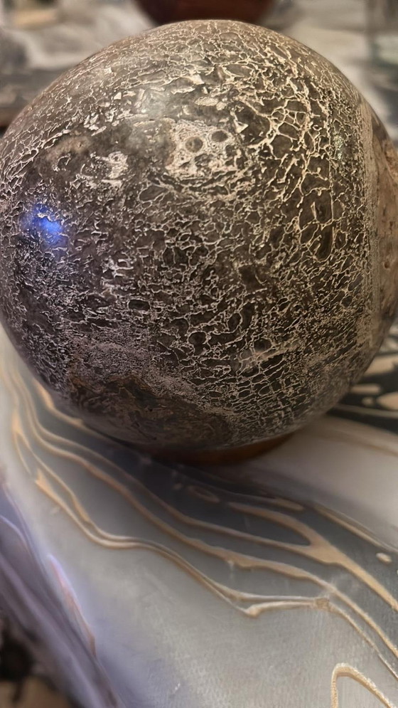 Image 1 of Atlasaurus dinosaurus botbal