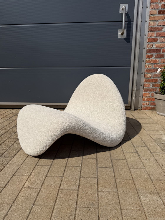 Image 1 of Artifort Tongue F577 Pierre Paulin Beige Bouclé Lama Natural Lelièvre ¡¡NUEVO ESTADO!!