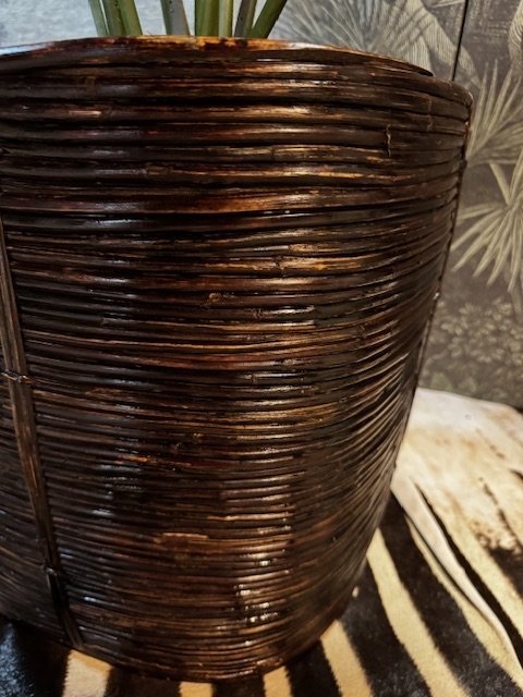 Image 1 of Cesta para plantas de lápiz de caña en estilo Crespi