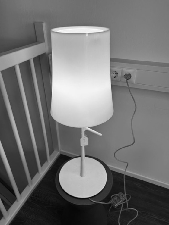 Image 1 of Foscarini Birdie grande