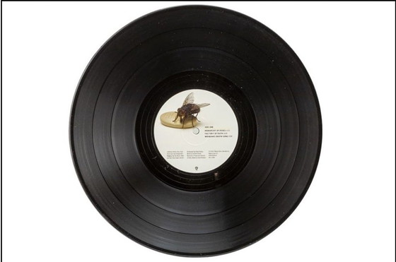 Image 1 of LP autografato da Damien Hirst x Red Hot Chili Peppers in scatola di plexiglass