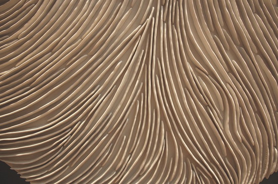 Image 1 of 3D klei wandsculptuur – rond, getextureerd, gebroken wit, minimalistische woondecoratie, luxe designkunst