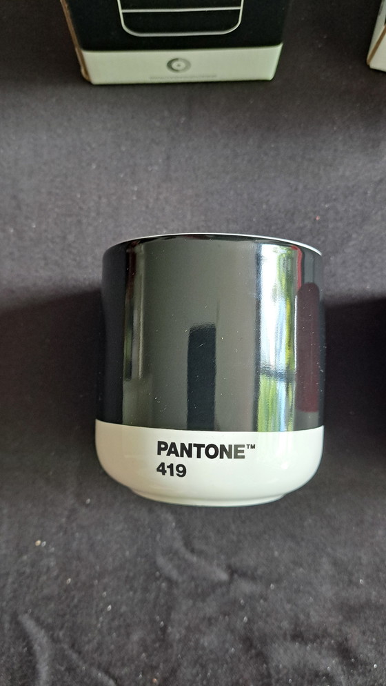 Image 1 of Tazze a doppia parete NUOVA Scandinavia