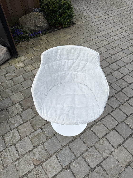 Image 1 of MDF ITALIA, Flow Slim Esszimmerstuhl mit drehbarem/trompetenförmigem Fußkreuz und Armlehne