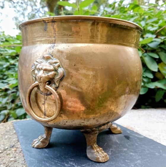 Fioriera barocca in ottone con leone, Oggetti decorativi, Dorato (foto 2 di 5)
