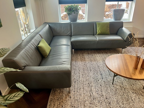 Image 1 of Pode Leolux banque de données Sync 242 à 248