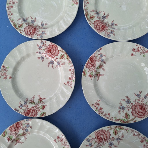 6 x Essteller Johnson Bro's Rose Chintz