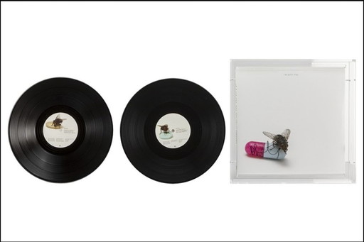 LP firmado por Damien Hirst y Red Hot Chili Peppers en caja de plexiglás