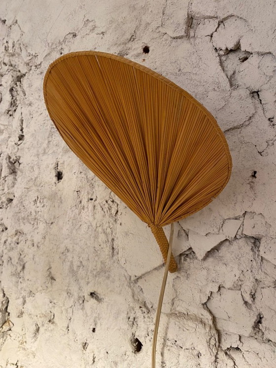 Image 1 of Vintage fan wall lamp reed 1960's