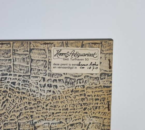 3 (Cromo) Litografie di Razze Avicole - Circa 1870 - Incorniciate – Arte, Vetro, Carta (photo 4 of 7)