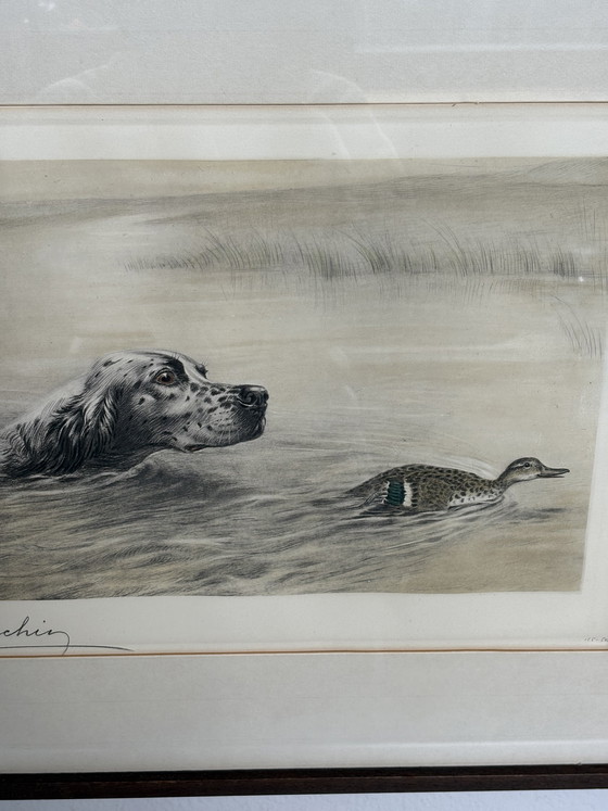Image 1 of Original Léon Danchin Etching – English Setter & Duck – Signed Hunting Art
