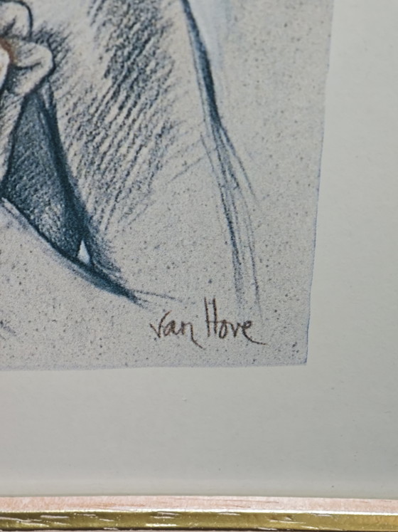 Image 1 of 2 Van Hove-frames