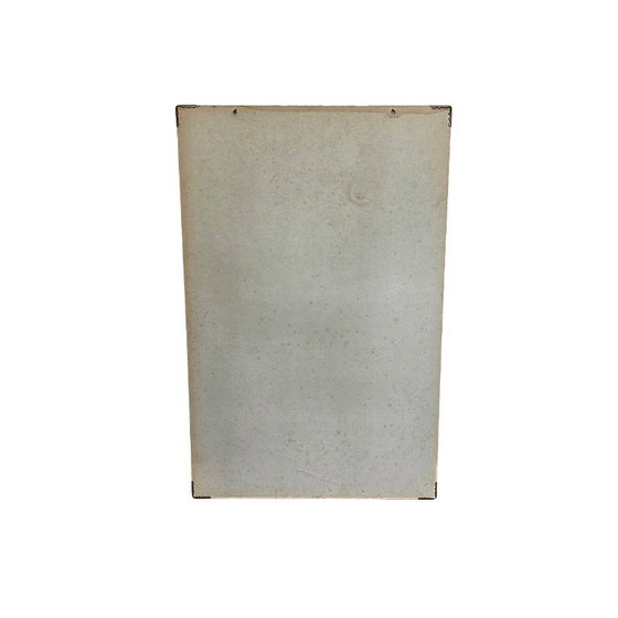 Image 1 of Vintage Engelse plaat met tropische aquarium vissen uit 1977