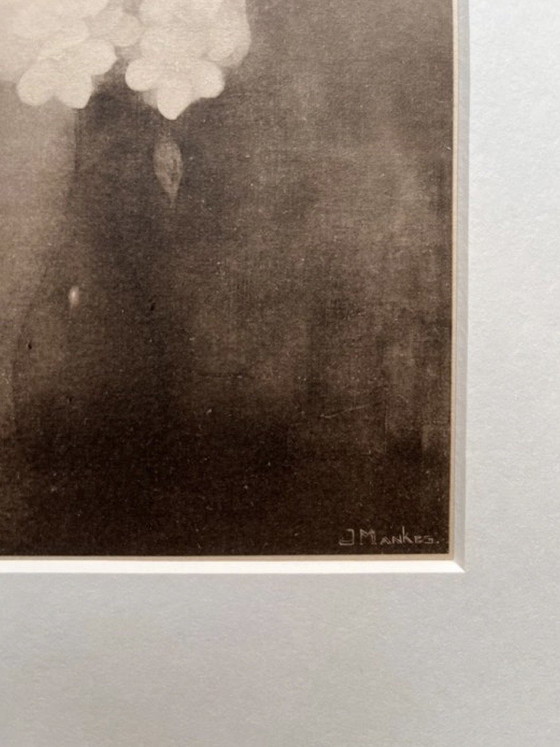 Image 1 of Jan Mankes 1889-1920 / Originele Heliogravure Vaas met Jasmijn 1923