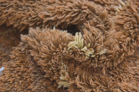 Image 1 of Tapis authentique en laine Beni Ourain 300 x 200 cm – Tailles personnalisées