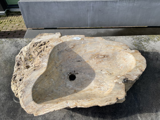 Image 1 of Unieke badkamer waskom petrified wood. 
