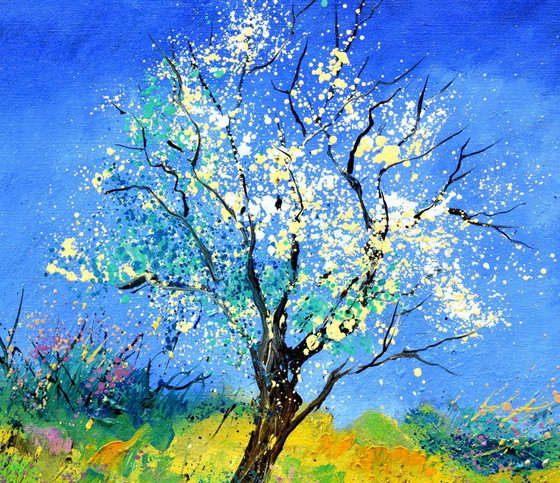 Image 1 of Spring in my countryside