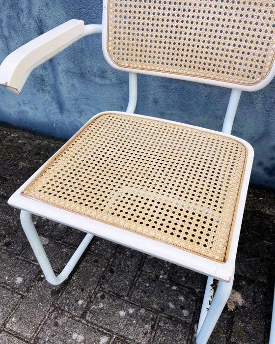 Image 1 of Sedie da pranzo Thonet vintage con seduta in fettuccia (2, 4, 6 o 8 pezzi)